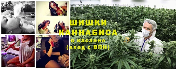 сатива Иннополис
