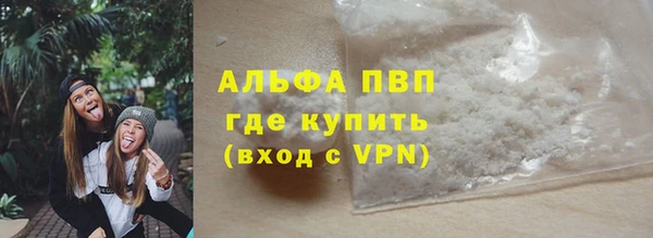сатива Иннополис