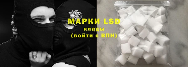 сатива Иннополис