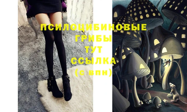 сатива Иннополис