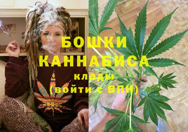 сатива Иннополис
