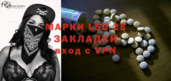 сатива Иннополис