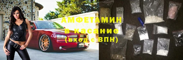 сатива Иннополис