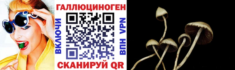 Псилоцибиновые грибы мицелий  Купить где  Судогда 